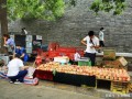 西安北郊早市有哪些地方,西安哪里卖抓饭锅的