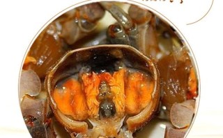 发财蟹是哪里的特产（发财蟹是哪里的特产啊）