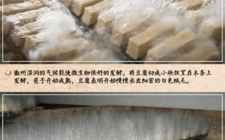 毛豆腐是哪里的（毛豆腐是哪里的特产）