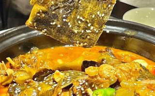 你挨吧在河南话里什么意思,甲鱼老鸹撒西安店