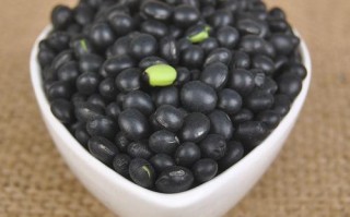 哪里黑豆好（黑豆地是哪里话）
