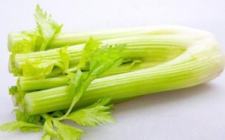 芹菜可吃部分是哪里,西芹吃什么部位