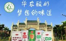 华农酸奶的优点和缺点,华农酸奶怎么样加盟的