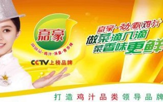 哪里销售鸡汁（广东嘉豪食品有限公司怎么样）
