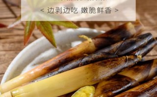 哪里的手剥笋（手剥笋和笋尖哪个好吃）