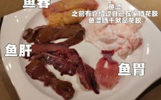 吃鱼补哪里（鱼肉的好处）