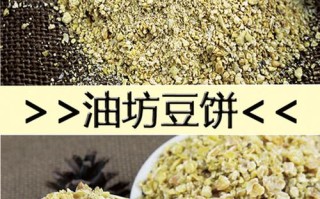 软饼哪里有（哪有卖可食用大豆饼农村小油坊的大豆饼哪里有卖）