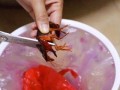 小龙虾的砂囊在哪里（龙虾火锅做法）