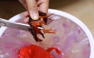 小龙虾的砂囊在哪里（龙虾火锅做法）