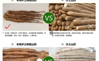 铁棍山药哪个产地正宗,河南焦作的铁棍山药哪里的最好