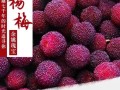 杨梅是哪里的特产（杨梅是哪里的特产?）