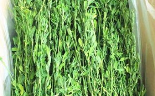 哪里的甘草好（哪里有买苜蓿干草多钱一吨）