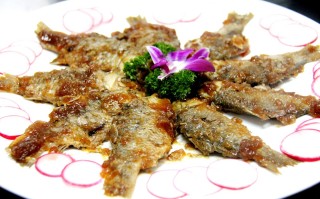 东平哪里糟鱼好吃（梁山糟鱼哪家好吃）