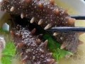 海参哪里来的（月经期能吃海参吗）