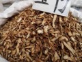 玉竹哪里有买（如何选购及保存玉竹呢）