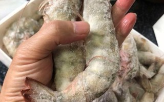 虾包在哪里（虾包在什么位置图片）