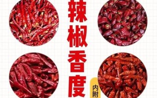 中国辣椒辣度省份排名,辣椒炒辣椒是哪里的菜系