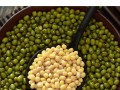 绿豆哪里好（绿豆哪里好?）