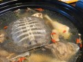 哪里有卖甲鱼汤的（滋补甲鱼汤做法）