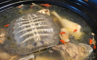 哪里有卖甲鱼汤的（滋补甲鱼汤做法）