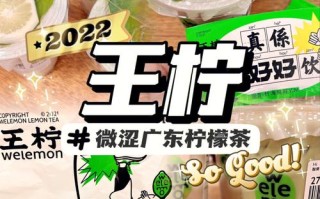 柠檬叶粉哪里有卖（柠檬粉怎么做成柠檬茶）