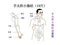 小肠经在哪里（小肠经在哪里图片）