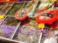 海鲜哪里好做（厦门十大顶级海鲜市场）