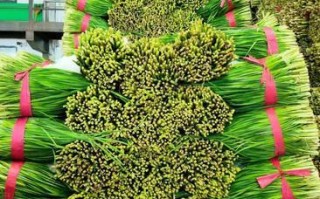 韭菜花哪里买（韭菜花哪里买的到）