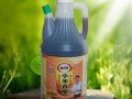 小米香醋哪里好（小米香醋哪里好吃）