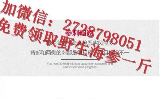 哪里有鲜活海参价格（海参的价格多少钱一斤）