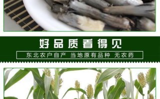 哪里有乌米买（乌米怎么粘在一起的，可以吃吗）
