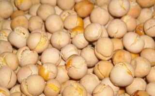 哪里有干碗豆卖（干豌豆怎么做）