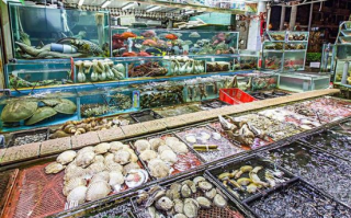 开海鲜餐馆怎么样（开海鲜店风险注意事项）