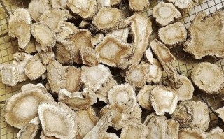 白芷哪里的最好（白芷哪里的最好最正宗）