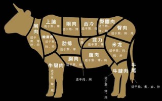 最好的牛肉是哪里（最好的牛肉是哪里的牛肉）