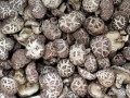 花菇买哪里的（花菇买哪里的好吃）