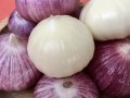 哪里的蒜头好（哪里的蒜头好吃）