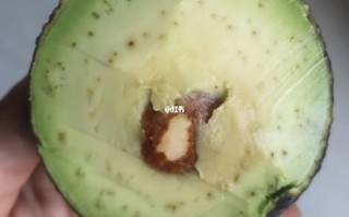 牛油果皮吃了会怎么样（牛油果皮长毛可以吃吗）