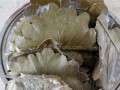 玻璃叶饼哪里有卖（玻璃叶饼怎么和面）