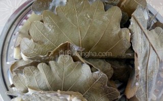 玻璃叶饼哪里有卖（玻璃叶饼怎么和面）