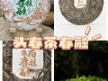 奶茶店复合式怎么样（雨林春融这款茶怎么样）