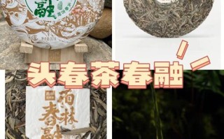 奶茶店复合式怎么样（雨林春融这款茶怎么样）