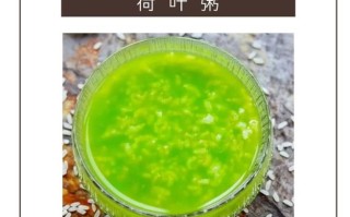 哪里有荷叶买来煮粥（哪里有荷叶买来煮粥的）