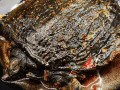 金沙豆瓣酱哪里有卖（金沙酱烧甲鱼的做法）
