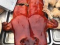 烤乳猪哪里好吃（哪个地方的烤乳猪最地道好吃）