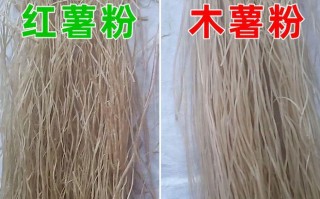 哪里可以买木薯粉（哪里可以买木薯粉呢）
