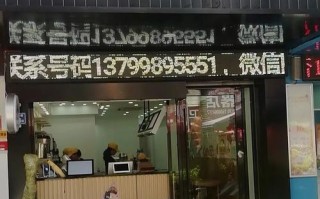茶千岁盈利怎么样（茶千岁的猫是什么猫）