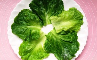 挂生菜 在哪里（挂生菜 在哪里挂好）