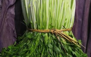 哪里有卖水芹菜（哪里有卖水芹菜的地方）