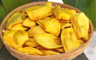 菠萝蜜是哪里的特产（西双版纳哪里特产便宜）